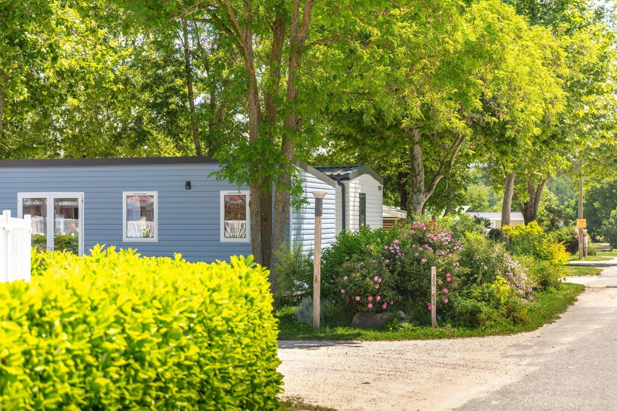 Camping Chateau De Galaure Chateauneuf-de-Galaure 外观 照片